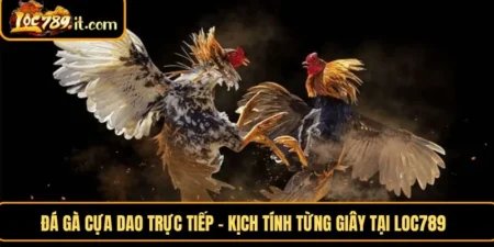 đá gà cựa dao trực tiếp