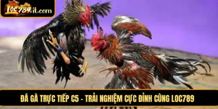 Đá Gà Trực Tiếp C5